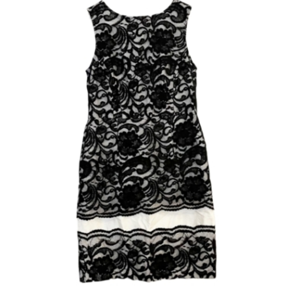 The Lmited lacey Sheath dress